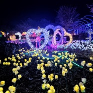 [제주도] 제주불빛정원 - 불빛정원에서 인스타용 사진 100만개 찍어가자!