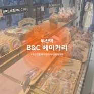 [맛집 리뷰] 부산 광복동 빵집 B&C 베이커리 부산역점 | 비엔씨 제과 메뉴 추천