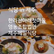 한라산아래첫마을 제주메밀 비비작작면! 결론? 꼭 먹어봐야 할 맛! (ft.한라산아래첫마을 제주메밀식당 광평리 본점)