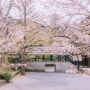 일본(日本) 교토(京都) 벚꽃(さくら)여행 2일차 3.난젠지(南禅寺)