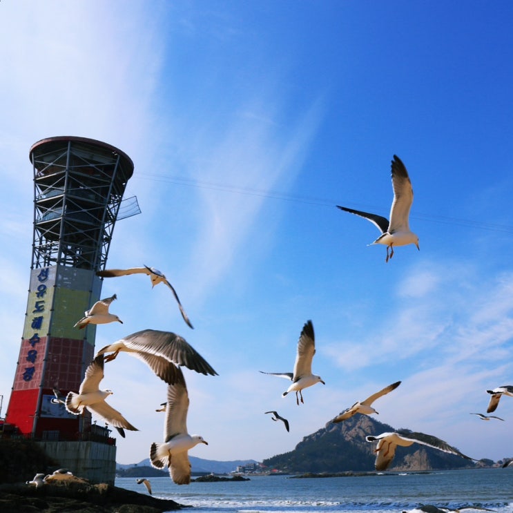 군산 가볼만한곳 고군산군도 선유도 해수욕장