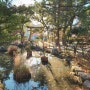<일본 여행> 후쿠오카 볼거리, 유서 깊은 일본 신사 스미요시 신사