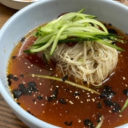 부여 맛집 장원막국수 / 편육 꼭 시켜! / 1인 1막국수해도 다 먹을 수 있음