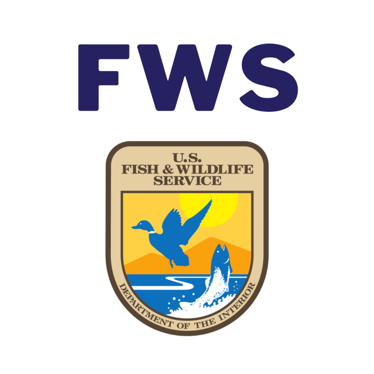 [미국 수출] FWS Permit 란 무엇인가? : 네이버 블로그