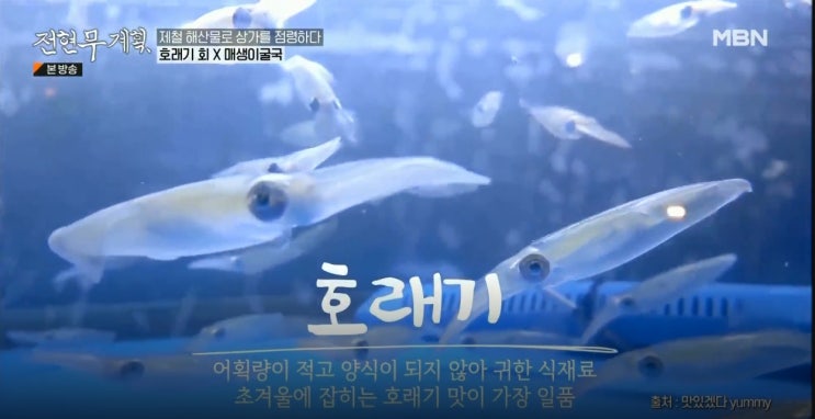 전현무계획 대방어 호래기 남해바다 메뉴 위치 주차 꿀팁 : 네이버 블로그