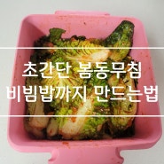 봄동겉절이 만드는법 : 초간단 봄동무침 양념 비빔밥까지 맛있는 봄나물 레시피