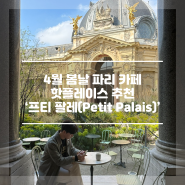 4월의 파리 카페 추천 ‘ 프티 팔레(Petit Palais) ’