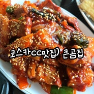 충북 음성 코스카cc 맛집) 집에서 직접 만드는 청국장, 제육볶음이 맛있는 #큰곰집