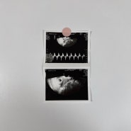 임신일기 | 둘째임신 16주차 그리고 젠더리빌, 그리고 임밍아웃