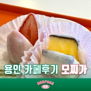 생과일 찹쌀떡 디저트 맛집, 용인 역북동 모찌가