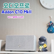 오디오프로 Addon C10 MkII :: 매장스피커로 좋은 블루투스스피커