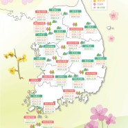 2024년 가보고 싶은 봄꽃축제, 벚꽃축제~ (봄철 꽃나무 개화시기)