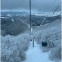 겨울 눈꽃 용평 발왕산 정상