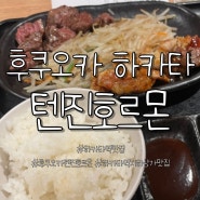 [하카타역맛집] 후쿠오카 텐진호르몬 / 하카타역지하맛집