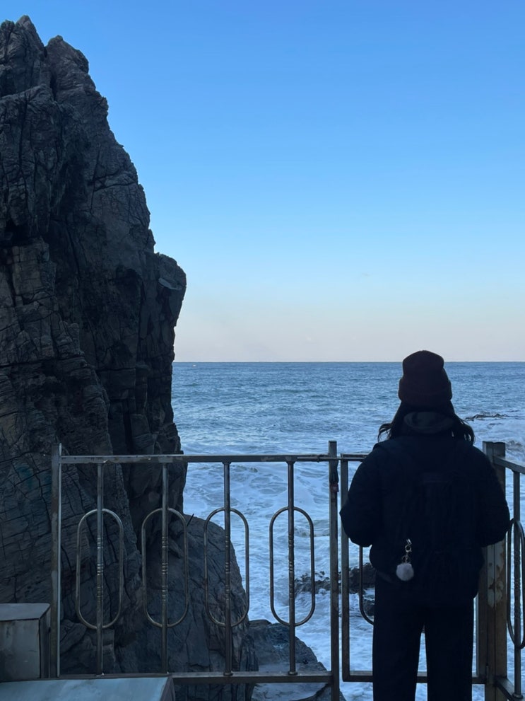 [동해 묵호 여행 1] 어향 | 묵호 김밥 | 여행책방 잔잔하게 | 카페 제리베리 | 어달해변 | 묵호 사찰 | 감추사 | 감추 ...