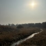 조류관찰대와 갈대숲이 아름다운, 강서한강공원 '강서습지생태공원'