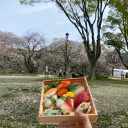 후쿠오카 벚꽃 여행 :: 2박 3일 후쿠오카 짧고 굵게 다녀오기