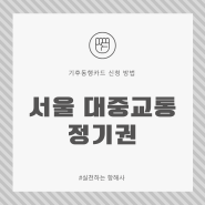 서울 대중교통 정기권 무제한 기후동행카드 신청 방법 뽀개기