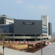 자유수영 | 북항 마리나 다이빙풀&수영장