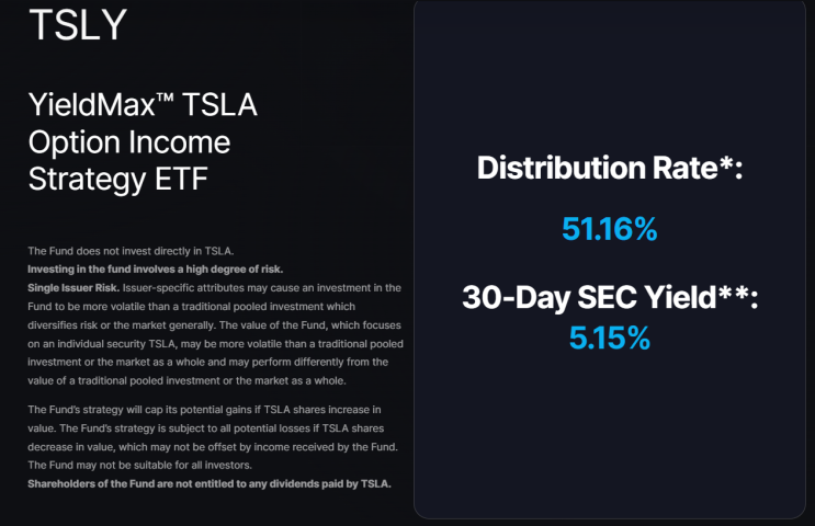 연간수익률 96%, 미국 월배당주 TSLY ETF 분석 : 네이버 블로그