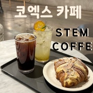 삼성코엑스 / 봉은사역 카페추천 스템커피 STEMCOFFEE