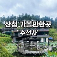 산청 수선사 연꽃 여경스님 경남 사찰 절 드라이브 코스 연못과 정원 관람후기