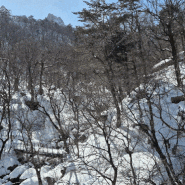 [설악산국립공원 탐방] 비선대까지 등산 후기(고지대 탐방로 통제)_24.03.01