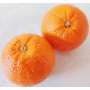 #피로회복에 좋은 #오렌지 껍질에도 #효능이 듬뿍 (Ft. 오렌지 껍질 공예)