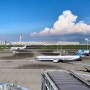 일본 입국 1분 만에 완료! 오사카 간사이공항 새로운 출입국 세관 신속 시스템 시험