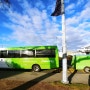 뉴질랜드 자유여행 뚜벅이 인터시티 버스, 키위 익스피리언스 비교 정리
