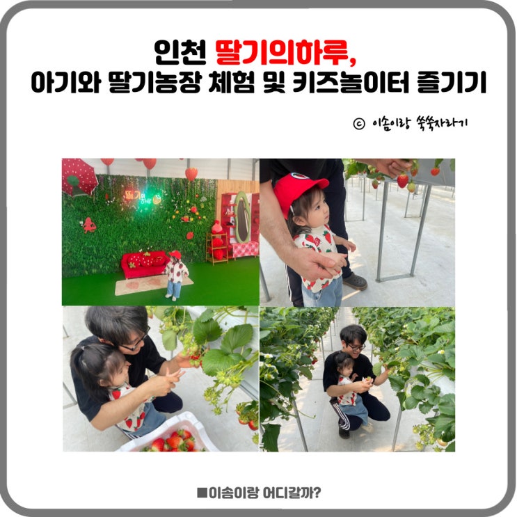 인천 딸기의하루, 아기와 딸기농장 체험 및 키즈 놀이터 즐기기