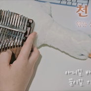 천상연 - 웹툰 선녀외전 OST 17키 칼림바 연주
