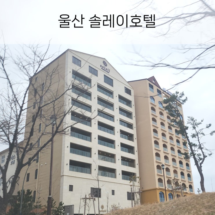 울산 솔레이호텔 키즈룸 마이멜로디 온수풀 정글짐 아이들 천국