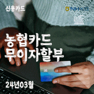 NH농협카드 무이자할부 - 24년3월 업종별 안내 / 부분무이자할부,슬림할부