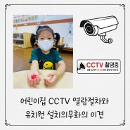 어린이집 cctv 열람 절차와 유치원 설치의무화의 이견