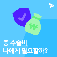 종수술비 보험 A to Z | 종수술비 비교, 종수술비 청구