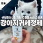 [제품] 강아지귀냄새 세균번식 강아지귀세정제 선택 다이소베이비면봉