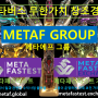 METAF 메타버스 무한가치 창조경영 아카데미