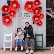 서천 동백꽃 마량리 동백나무숲 꽃말 가족나들이 아이와가볼만한곳