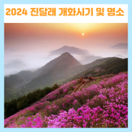 2024년 봄꽃 진달래 개화시기 및 전국 진달래 명소 가볼만한곳