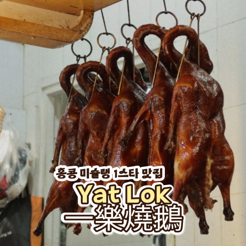 홍콩 미슐랭 1스타 맛집 거위구이 덮밥 / Yat Lok Restaurant 一樂燒鵝