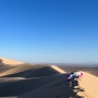 드디어 고비사막을 오르다! 고비사막 모래썰매 희망편/절망편 데일리몽골리아 중부투어 몽골 4일차