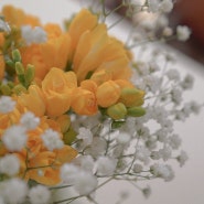 플로스데이 생화 꽃다발 가격 꽃 정기 구독으로 간편하게 즐겨요