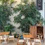 속초IC 근처 대형 베이커리카페 '시드누아' :: 하우스 느낌의 식물 카페, 감성 가득함은 덤