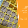[초기이유식] 소고기 큐브 만들기 6개월아기(w.베이비무브)