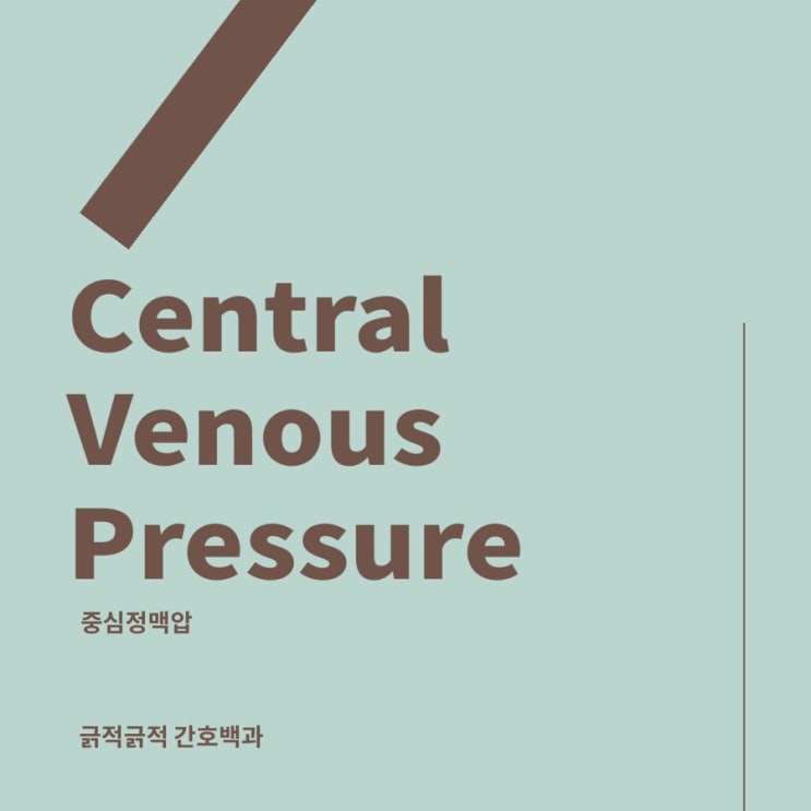 중심정맥관 및 정맥압(Central venous line& pressure,C-line&CVP) : 네이버 블로그