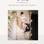 Wedding #6 | 본식스냅 ‘꽃섬스냅’ 계약 완료 후기 (송도 메리빌리아 셀레스메리홀)
