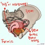자궁적출수술 후유증 부작용 알아야