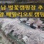 경남 밀양 패밀리오토캠핑장 애견동반 벚꽃캠핑장 추천