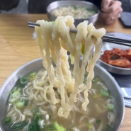 [가양] 예가닭칼국수, 가양역 칼국수 맛집